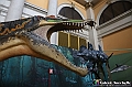 VBS_0957 - Dinosauri. Terra dei giganti